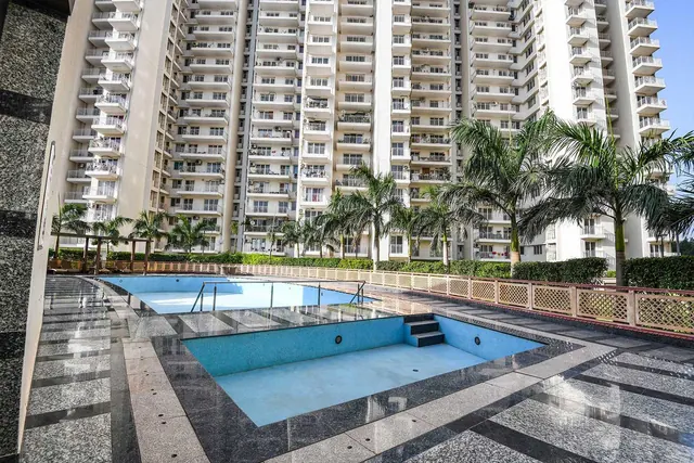 SS The Coralwood — swimming pool