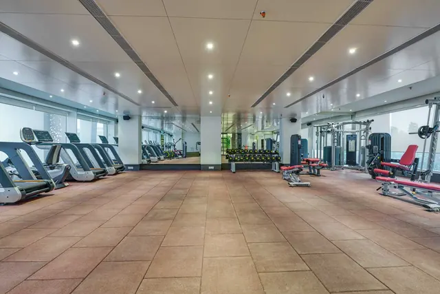 SS The Leaf — gym