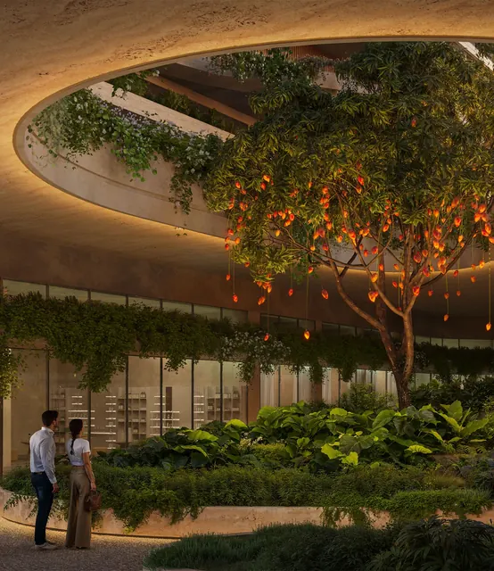 Trehan Iris Omara — sunken courtyard with tree (render)